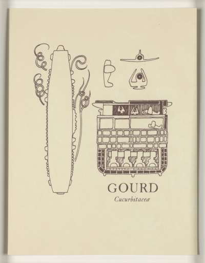 Image of Gourd (Cucurbitaceae)