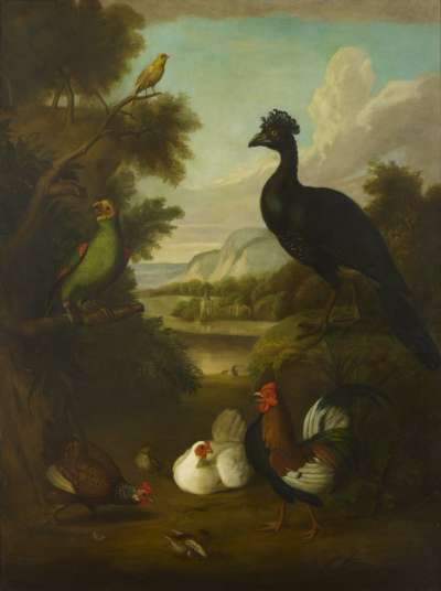 Image of Canary, Green Parrot & Other Birds in a Landscape