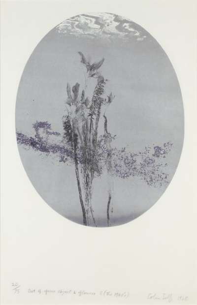 Image of Out of Focus Object & Flowers 3 (The 1940s)