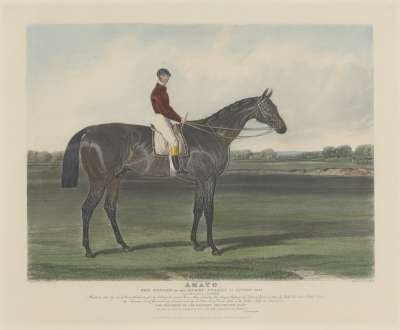 Image of ‘Amato’, Winner of the Derby Stakes at Epsom, 1838