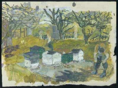 Image of Beehives