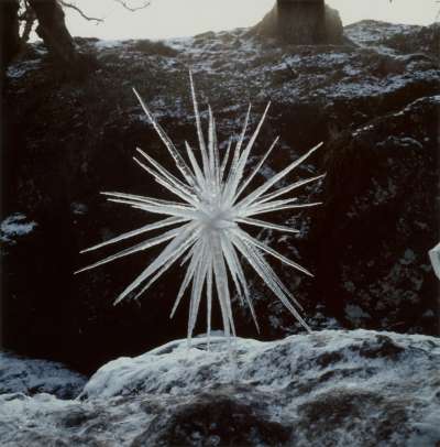 Image of Ice Star (Scaur Water, Penpont, Dumfriesshire)