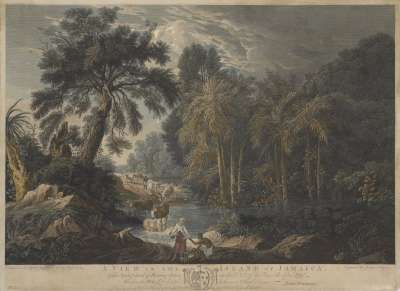 Image of A View in the Island of Jamaica, of the Spring-Head of Roaring River on the Estate of William Beckford Esq. [5]