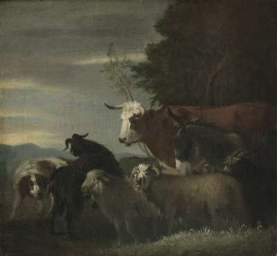 Image of Donkey, Dog, Cow, Goat, Sheep
