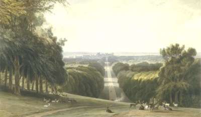 Image of The Long Walk, Windsor Park