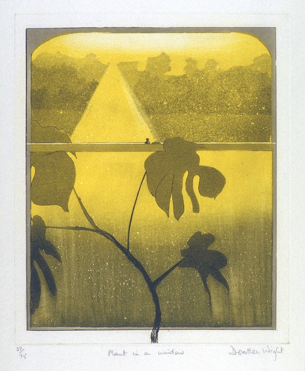 Image of Plant in a Window