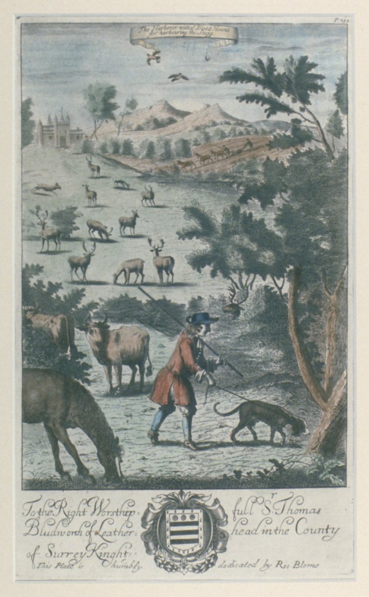 Image of The Harborer with the Blood Hound for Harbouring the Stagg
