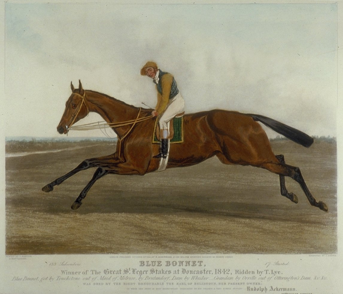 Image of ‘Blue Bonnet’, Winner of the Great St. Leger Stakes at Doncaster, 1842