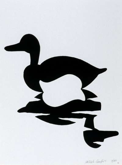 Image of Duck [Family Anatidae]