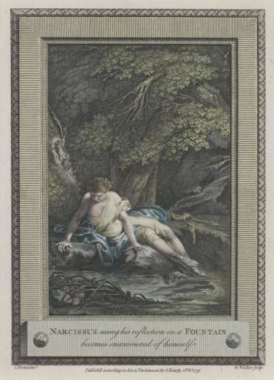 Image of Narcissus Seeing his Reflection in a Fountain becomes Enamoured of Himself