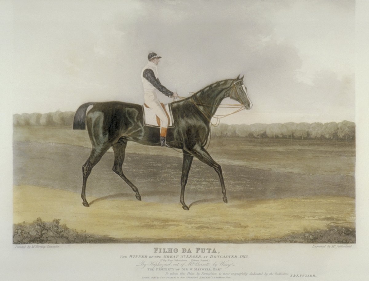 Image of ‘Filho da Puta’, Winner of the Great St. Leger at Doncaster, 1815