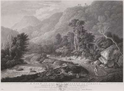 Image of A View in the Island of Jamaica, of Part of the River Cobre near Spanish Town [1]