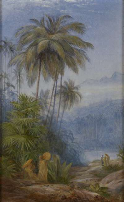 Image of Ceylon Scenery