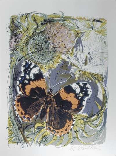 Image of Red Admiral and Thistle
