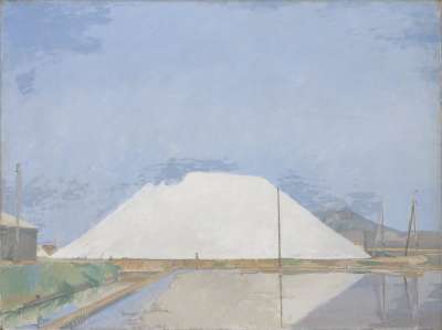 Image of Salt Triangle at Hyères, France