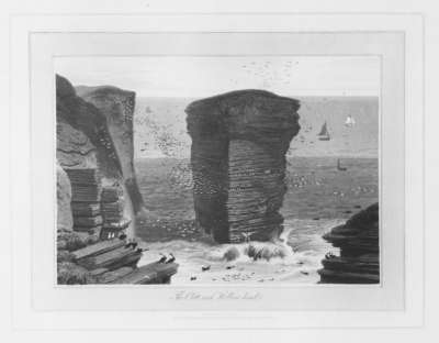 Image of The Clett-Rock, Holborn Head