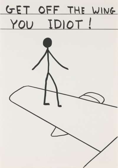 Image of Untitled (Get Off the Wing You Idiot)