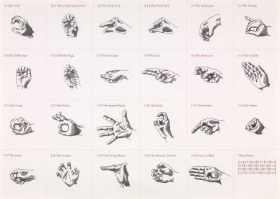 Image of ‘Demonstrating the World’ (Collected Handshapes)