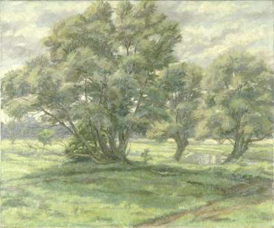 Image of Suffolk Willows