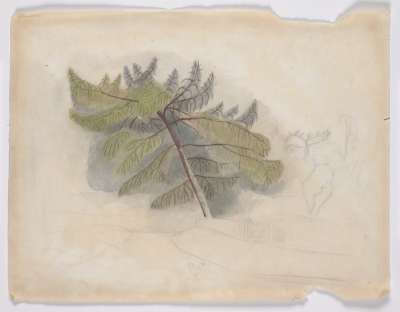 Image of Tree Study and Street Scene with Chicken