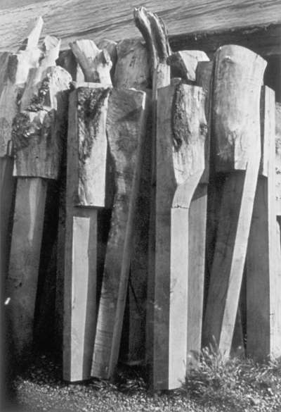 Image of Totems
