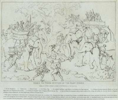 Image of Tiger Hunting in the East Indies – Index Plate