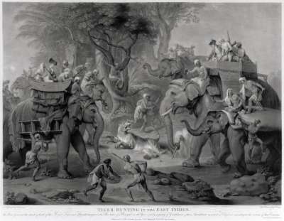 Image of Tiger Hunting in the East Indies