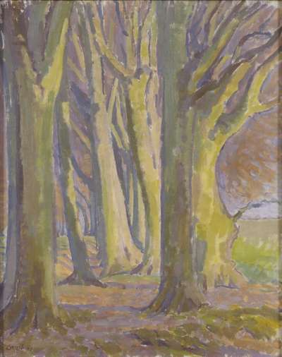 Image of Sunlit Beeches
