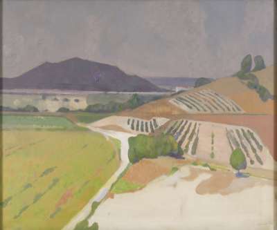 Image of Vineyards at Vic le Fesq