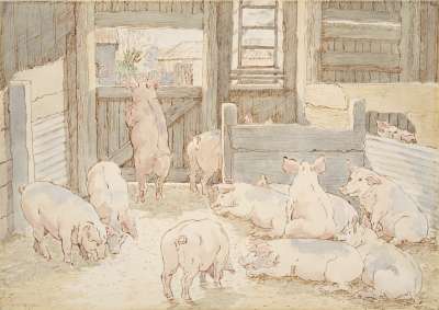 Image of The Pig Sty