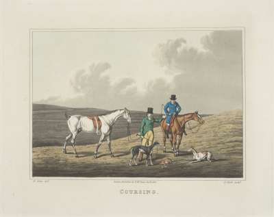 Image of Coursing