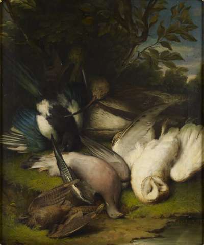 Image of Dead Birds