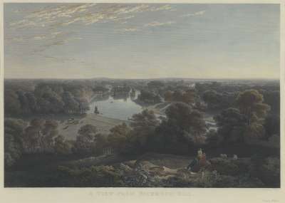 Image of A View from Richmond Hill