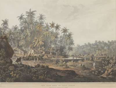 Image of View near Point de Galle, Ceylon