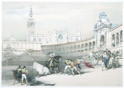 Image of Bull Fight, Seville
