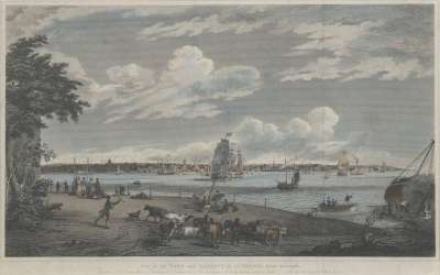 Image of View of the Town and Harbour of Liverpool, from Seacombe