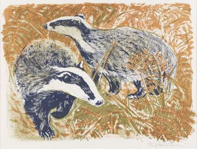 Image of Badgers