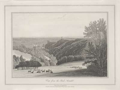 Image of View from the Park, Arundel