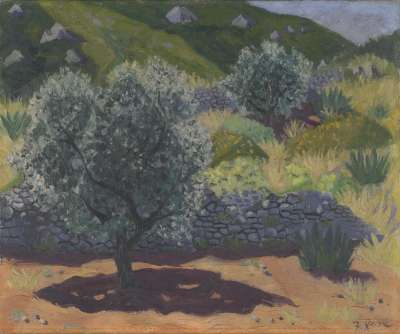 Image of Olive Trees, Les Baux