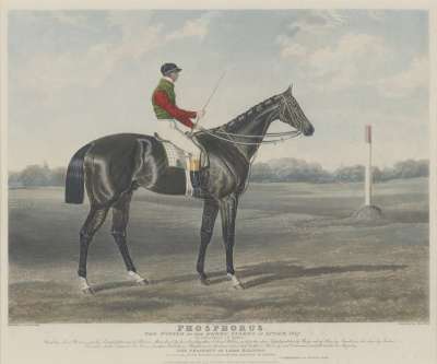 Image of ‘Phosphorus’, Winner of the Derby Stakes at Epsom, 1837