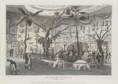 Image of Bullock’s Museum, 22 Piccadilly