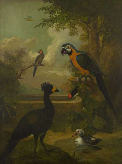 Image of Macaw & Other Birds in a Landscape