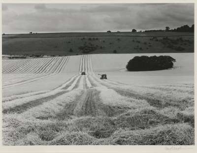 Image of Ridgeway: Harvesting at Steatley Warren