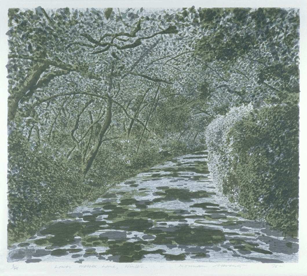Image of Lower Wessex Lane, Winter