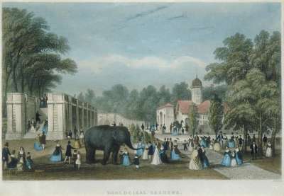 Image of Zoological Gardens Regent’s Park