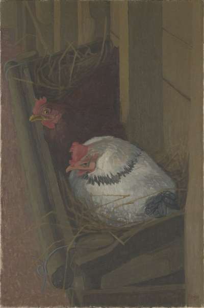 Image of Broody Hens