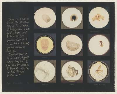 Image of After microscopic slides found in Freud’s collection and a quotation from Jacques Lacan