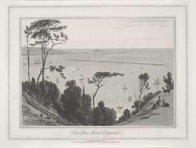Image of View from Mount Edgecumbe