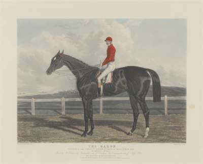 Image of “The Baron”, Winner of the Great St. Leger Stakes at Doncaster, 1845
