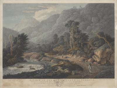 Image of A View in the Island of Jamaica, of part of the River Cobre near Spanish Town [1]